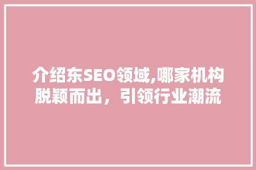 介绍东SEO领域,哪家机构脱颖而出，引领行业潮流