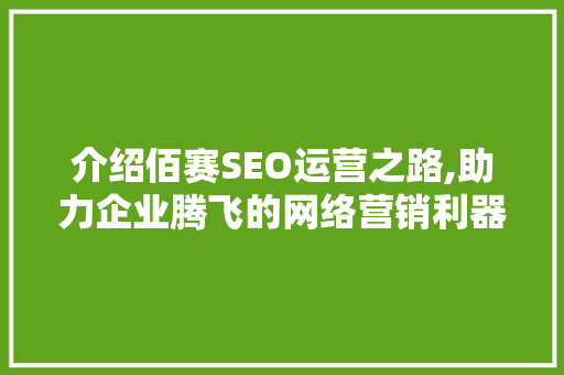 介绍佰赛SEO运营之路,助力企业腾飞的网络营销利器
