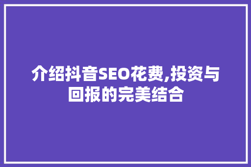 介绍抖音SEO花费,投资与回报的完美结合