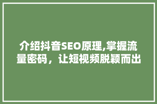 介绍抖音SEO原理,掌握流量密码，让短视频脱颖而出