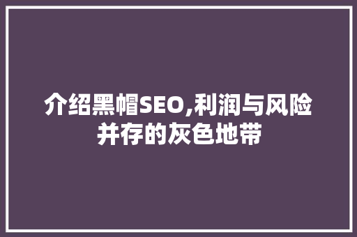 介绍黑帽SEO,利润与风险并存的灰色地带