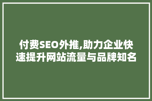 付费SEO外推,助力企业快速提升网站流量与品牌知名度