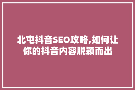 北屯抖音SEO攻略,如何让你的抖音内容脱颖而出
