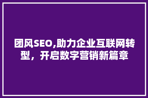 团风SEO,助力企业互联网转型，开启数字营销新篇章