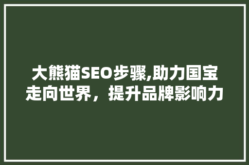 大熊猫SEO步骤,助力国宝走向世界，提升品牌影响力 百度SEO