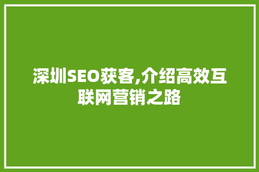 深圳SEO获客,介绍高效互联网营销之路