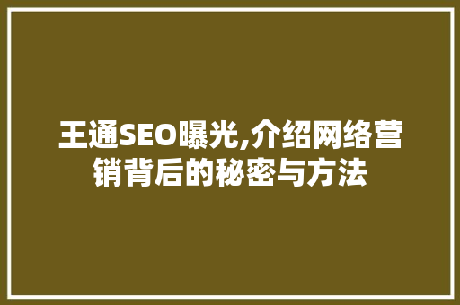 王通SEO曝光,介绍网络营销背后的秘密与方法 网站建设公司