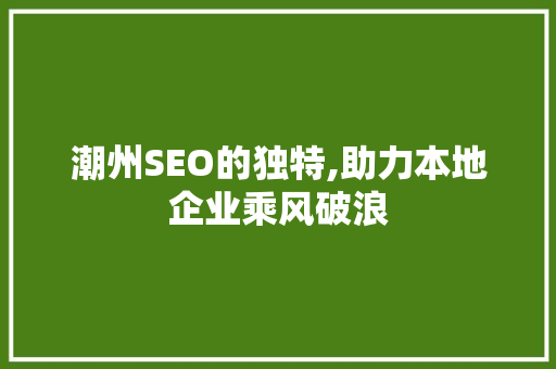 潮州SEO的独特,助力本地企业乘风破浪 神马SEO