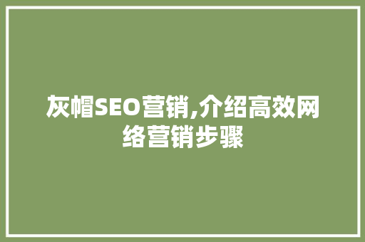 灰帽SEO营销,介绍高效网络营销步骤