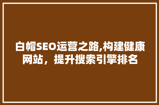 白帽SEO运营之路,构建健康网站，提升搜索引擎排名 SEO关键词