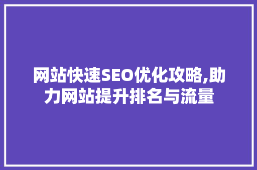 网站快速SEO优化攻略,助力网站提升排名与流量