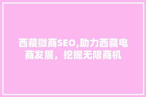 西藏微商SEO,助力西藏电商发展，挖掘无限商机 搜狗SEO