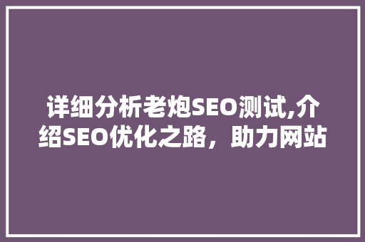 详细分析老炮SEO测试,介绍SEO优化之路，助力网站排名提升 神马SEO