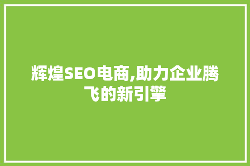 辉煌SEO电商,助力企业腾飞的新引擎