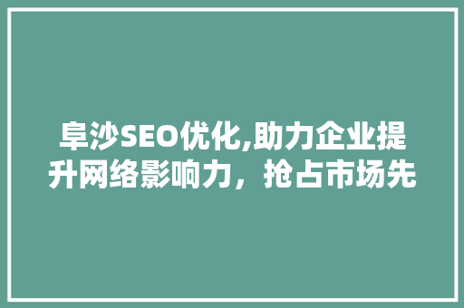 阜沙SEO优化,助力企业提升网络影响力，抢占市场先机 SEO关键词