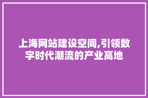 上海网站建设空间,引领数字时代潮流的产业高地