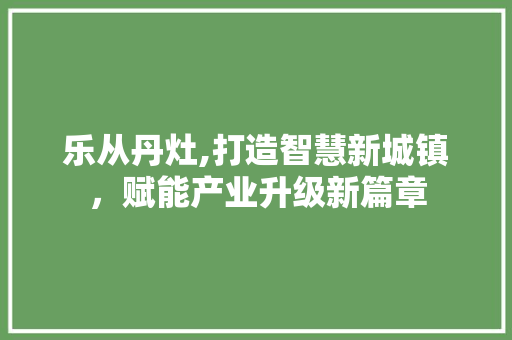 乐从丹灶,打造智慧新城镇，赋能产业升级新篇章 神马SEO