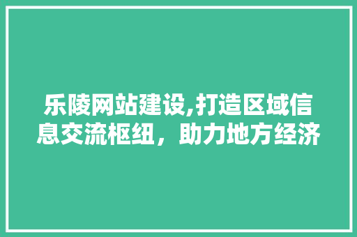 乐陵网站建设,打造区域信息交流枢纽，助力地方经济发展 网站建设公司