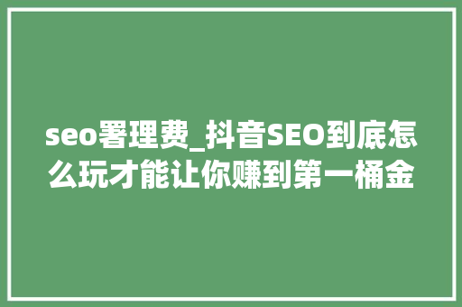 seo署理费_抖音SEO到底怎么玩才能让你赚到第一桶金