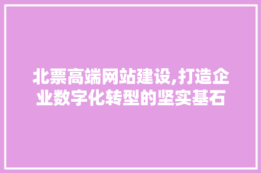 北票高端网站建设,打造企业数字化转型的坚实基石 网站建设公司
