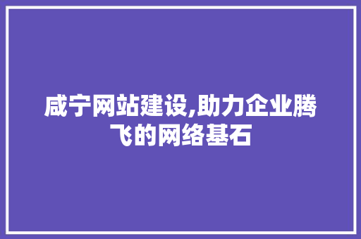 咸宁网站建设,助力企业腾飞的网络基石