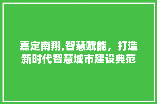 嘉定南翔,智慧赋能，打造新时代智慧城市建设典范