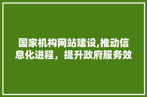 国家机构网站建设,推动信息化进程，提升政府服务效能 神马SEO