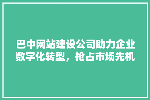 巴中网站建设公司助力企业数字化转型，抢占市场先机 百度SEO