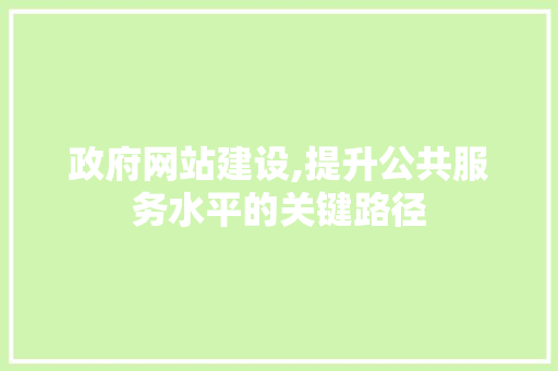 政府网站建设,提升公共服务水平的关键路径 搜狗SEO