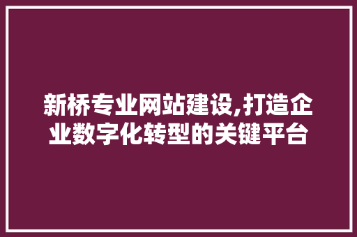 新桥专业网站建设,打造企业数字化转型的关键平台 网站建设公司