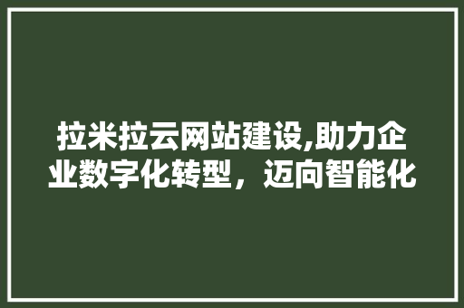 拉米拉云网站建设,助力企业数字化转型，迈向智能化未来