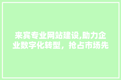 来宾专业网站建设,助力企业数字化转型，抢占市场先机