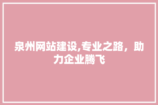 泉州网站建设,专业之路，助力企业腾飞