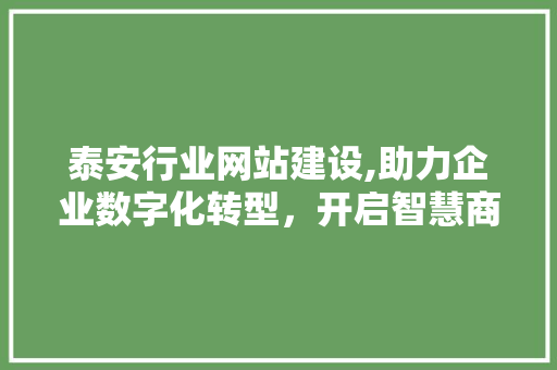 泰安行业网站建设,助力企业数字化转型，开启智慧商业新时代