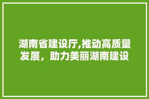 湖南省建设厅,推动高质量发展，助力美丽湖南建设 必应SEO