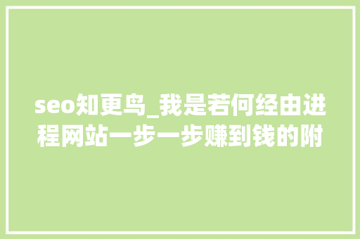 seo知更鸟_我是若何经由进程网站一步一步赚到钱的附实战做网站方法和技巧