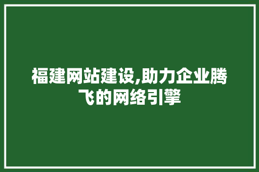 福建网站建设,助力企业腾飞的网络引擎 网站建设公司