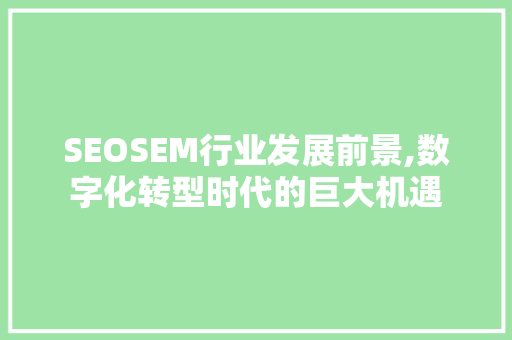 SEOSEM行业发展前景,数字化转型时代的巨大机遇
