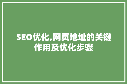 SEO优化,网页地址的关键作用及优化步骤 百度SEO