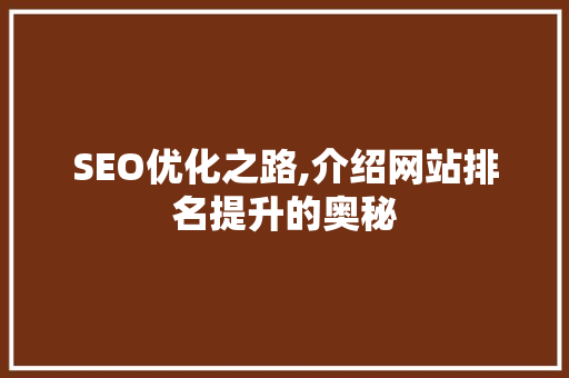 SEO优化之路,介绍网站排名提升的奥秘