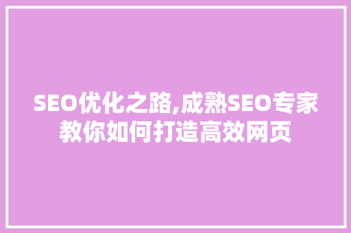 SEO优化之路,成熟SEO专家教你如何打造高效网页 神马SEO