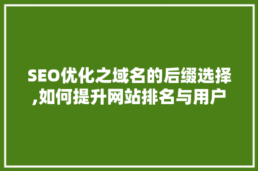 SEO优化之域名的后缀选择,如何提升网站排名与用户体验 SEO关键词