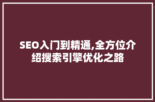 SEO入门到精通,全方位介绍搜索引擎优化之路