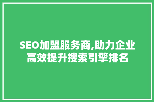 SEO加盟服务商,助力企业高效提升搜索引擎排名 SEO关键词