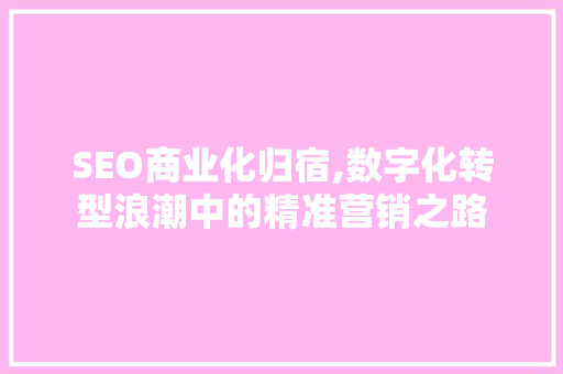 SEO商业化归宿,数字化转型浪潮中的精准营销之路 神马SEO