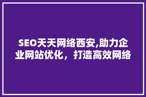 SEO天天网络西安,助力企业网站优化，打造高效网络营销步骤