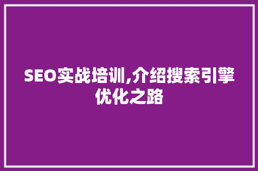 SEO实战培训,介绍搜索引擎优化之路 网站建设公司