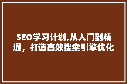 SEO学习计划,从入门到精通，打造高效搜索引擎优化步骤