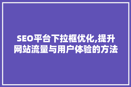 SEO平台下拉框优化,提升网站流量与用户体验的方法 神马SEO