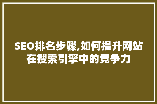 SEO排名步骤,如何提升网站在搜索引擎中的竞争力